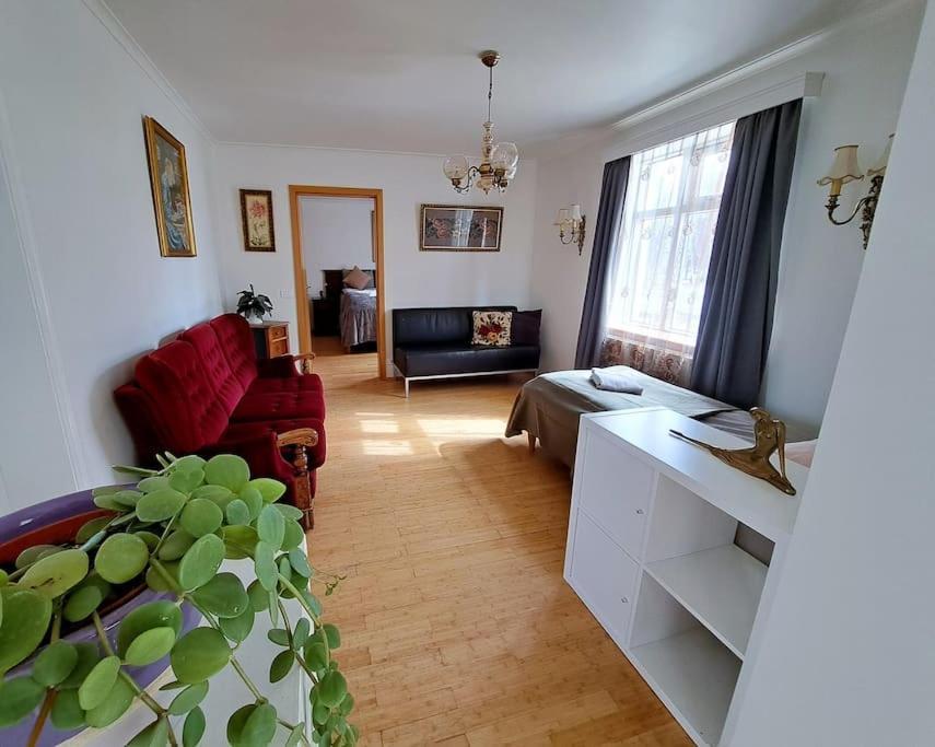 Spacious Apartment -Top Location アークレイリ エクステリア 写真